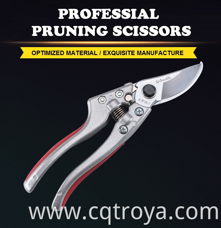 Pruners Scissors 01